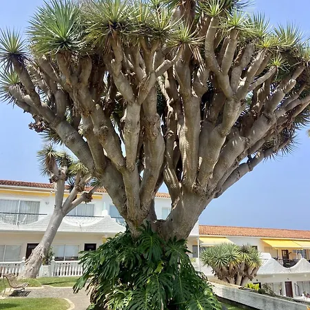 Apartment Guanche Bay Santa Cruz de Tenerife